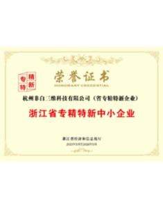 Zhejiang Province Specialized and New Small and Medium Enterprises Certificate